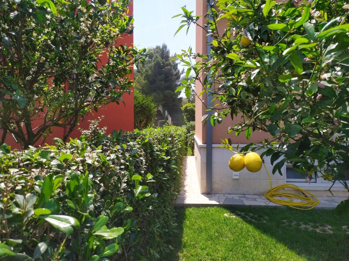 Apartmani Skejic 斯普利特 外观 照片
